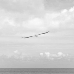 Sapiens De Animales a Dioses Harari